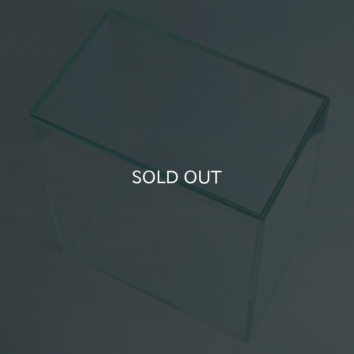 画像3: よこはま金魚オリジナル コレクションケースM ガラス蓋 (3)