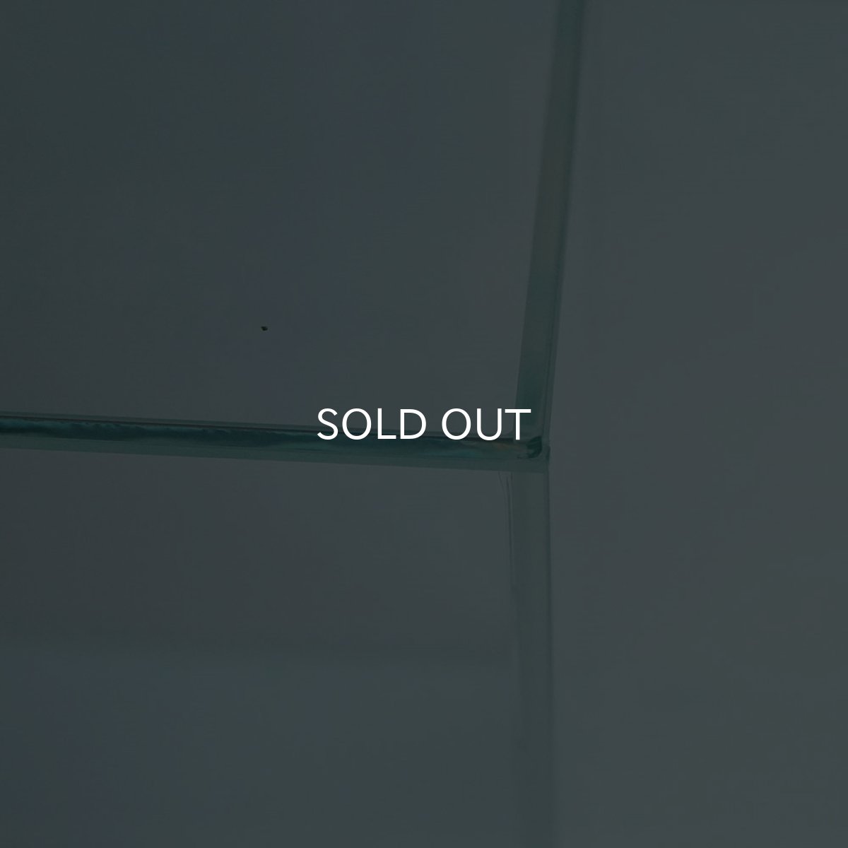 画像4: よこはま金魚オリジナル コレクションケースM ガラス蓋 (4)