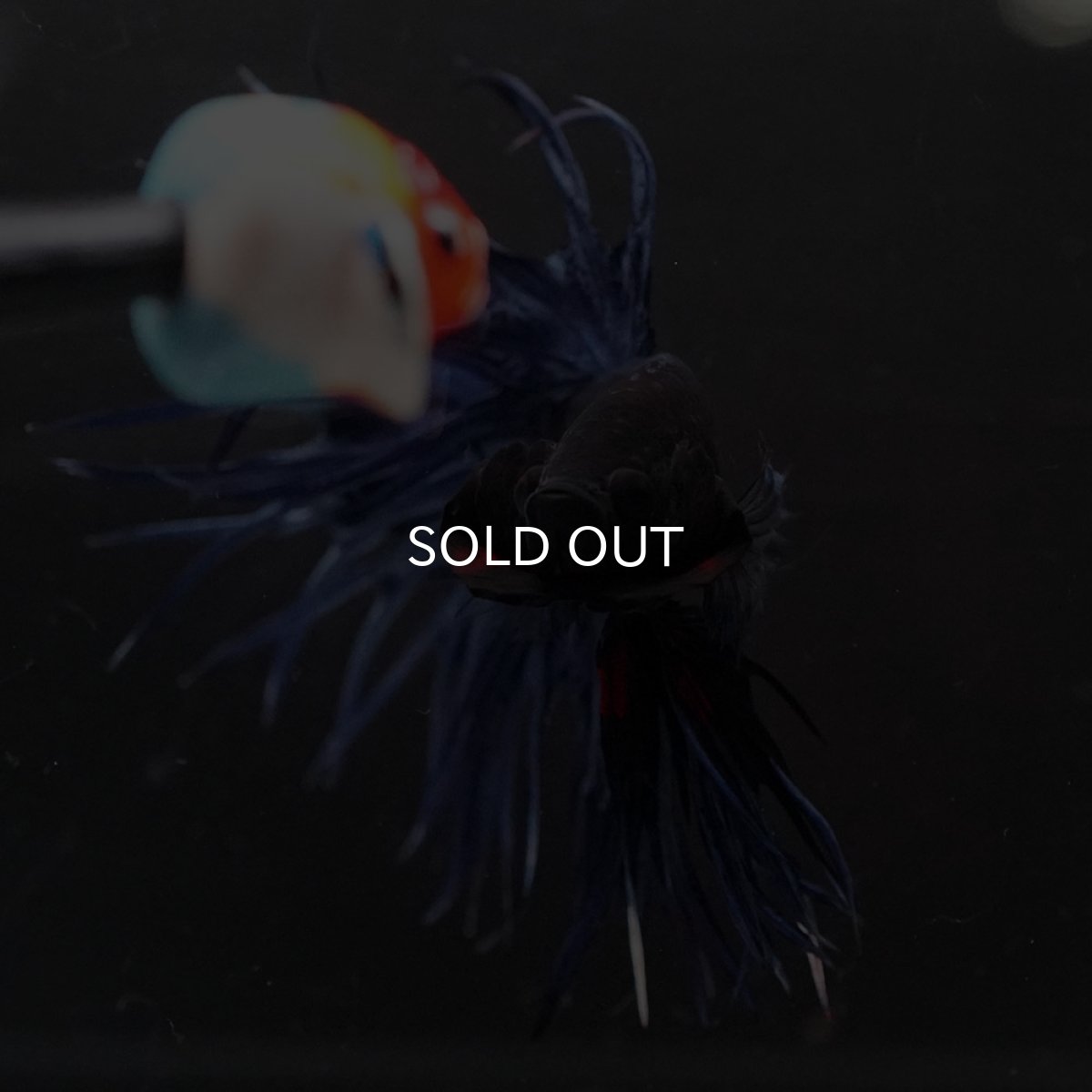 画像9: KCT　ブルー (9)