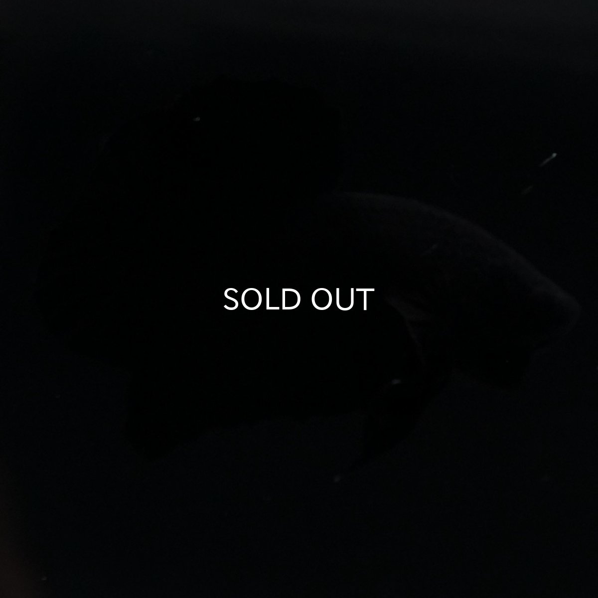 画像7: HMPK　ソリッドブラック (7)