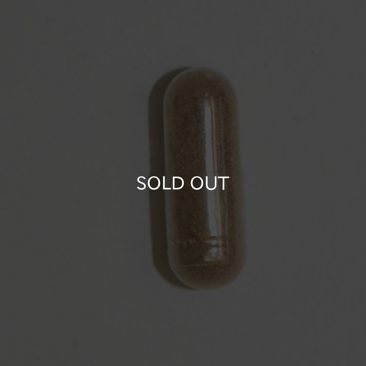 画像3: ホウネンエビ卵カプセル 5個入り 送料無料! (3)