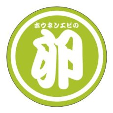 画像6: ホウネンエビ卵カプセル　10個入り　送料無料！ (6)